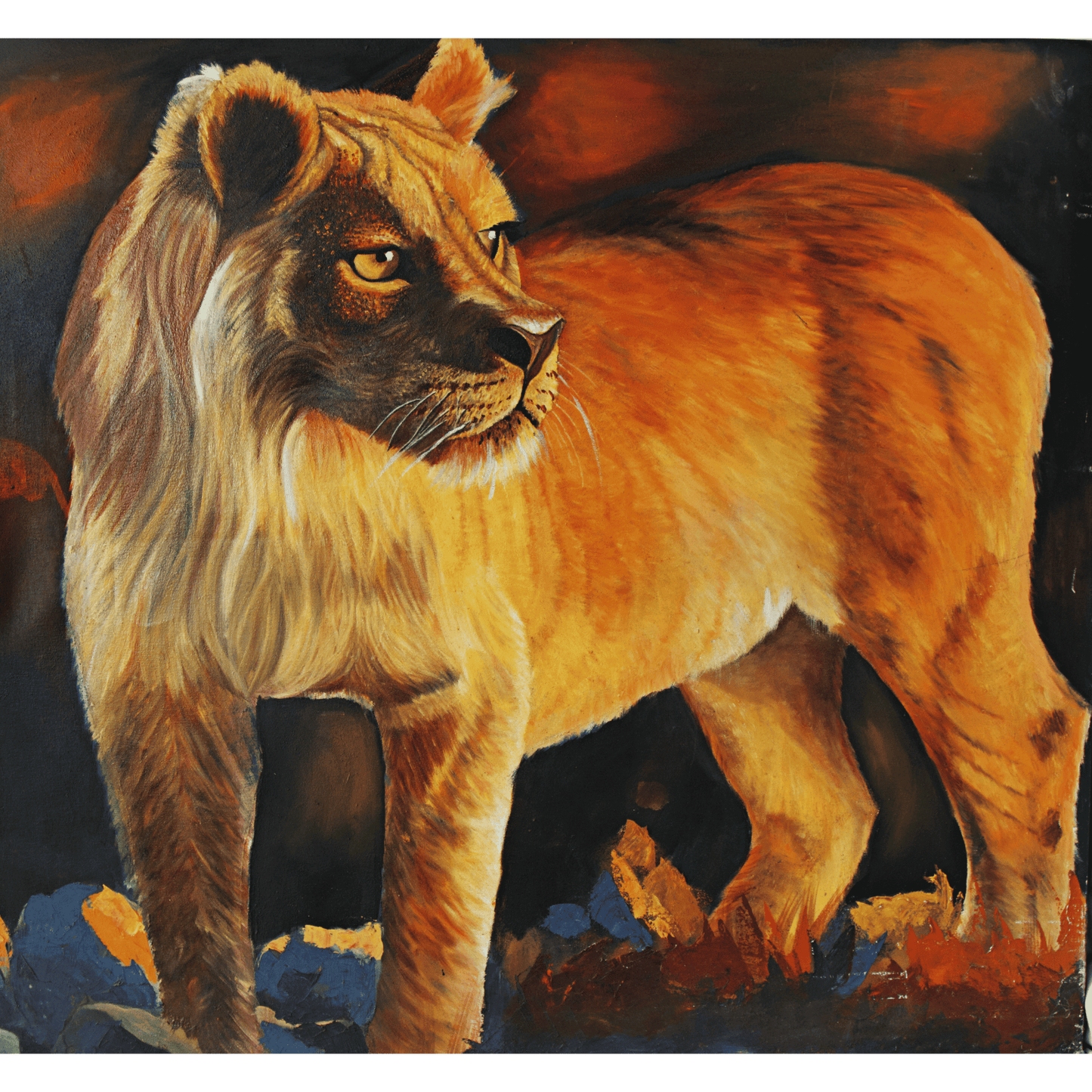 Wild Life Art