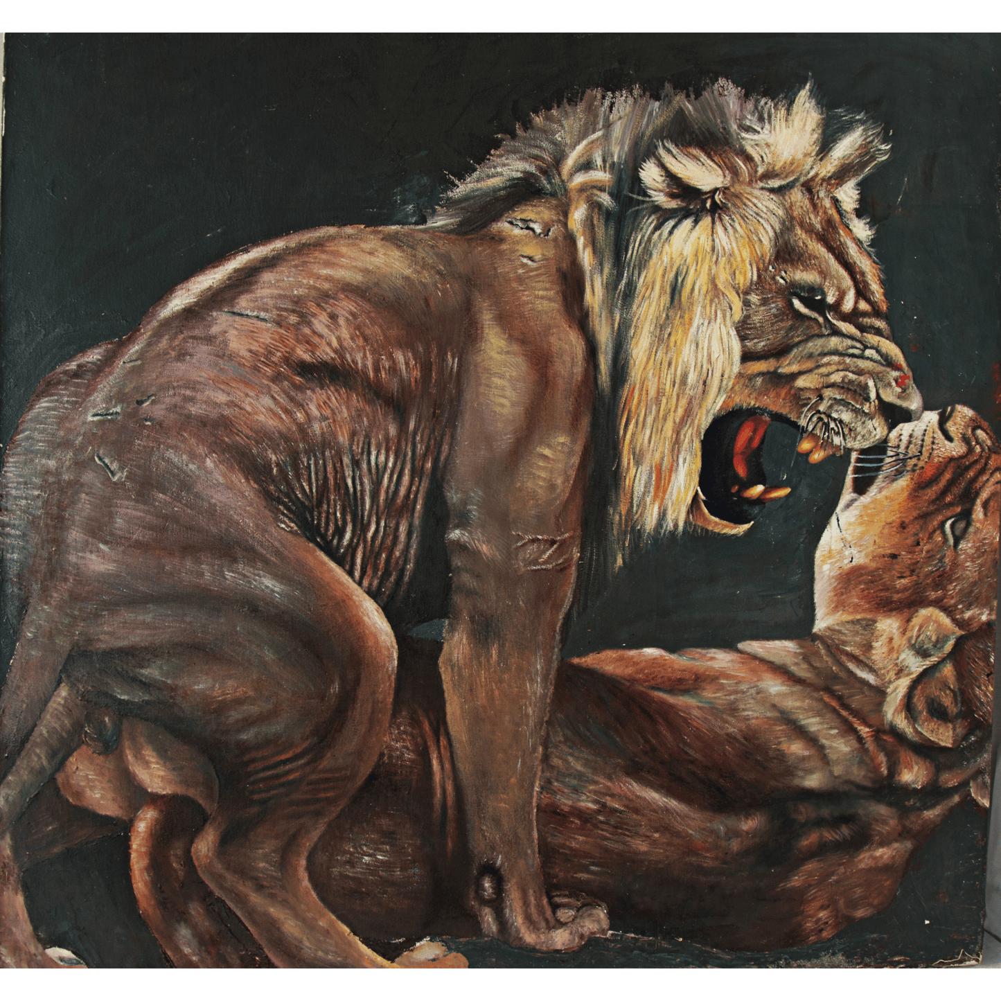 Wild life Art - Lions