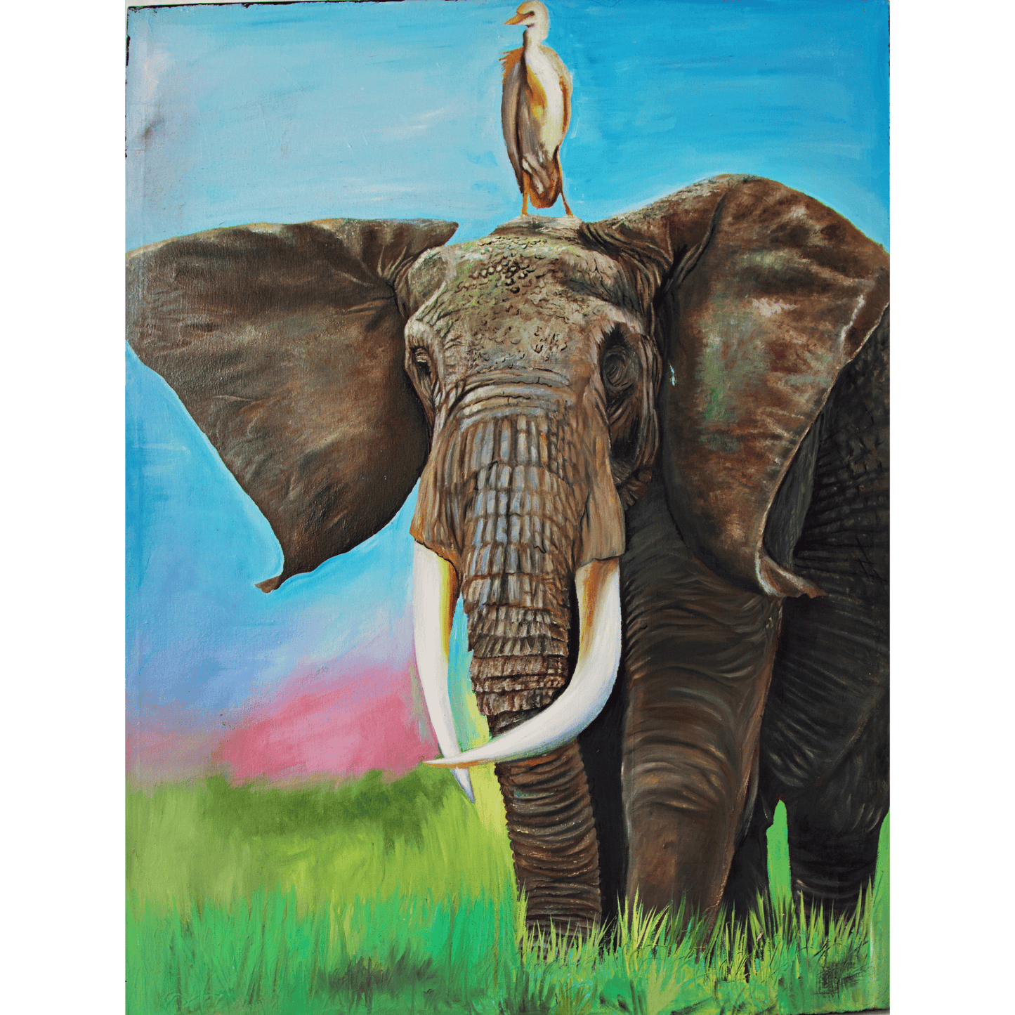 Elephant