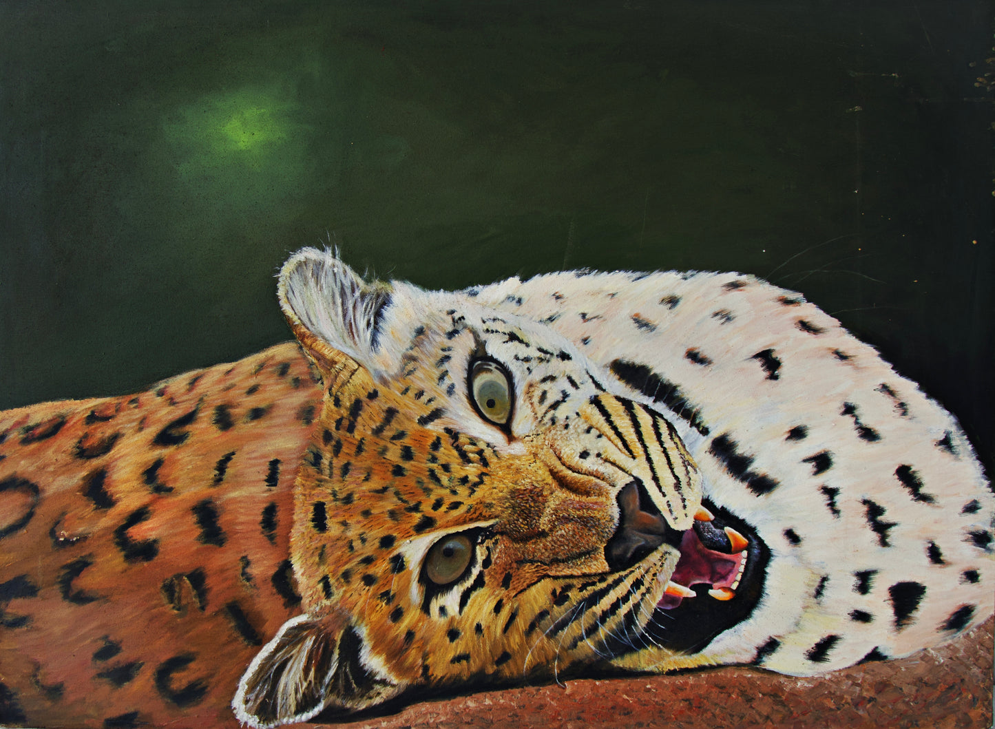 Leapard